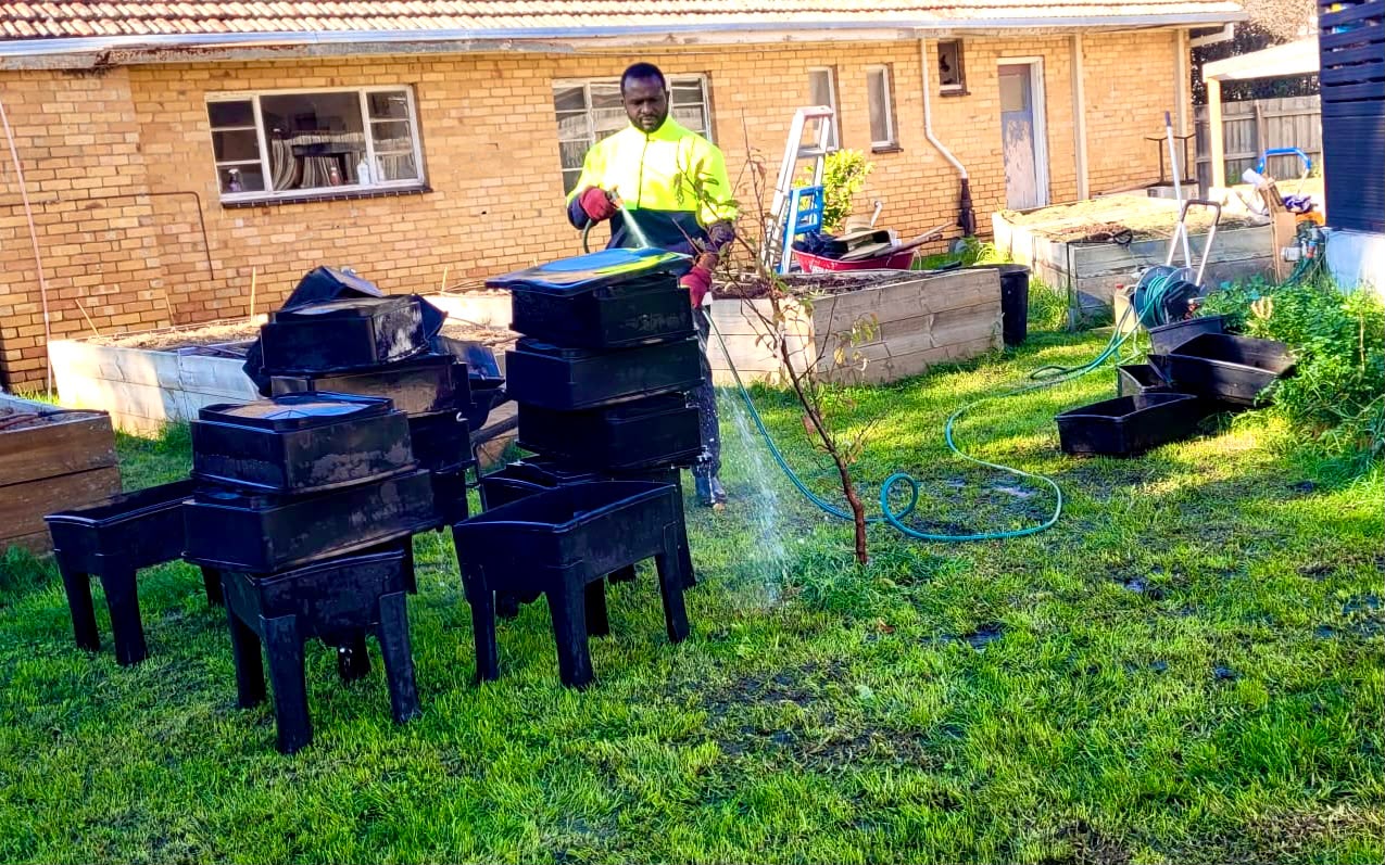 Garden Clean Up Before image 3